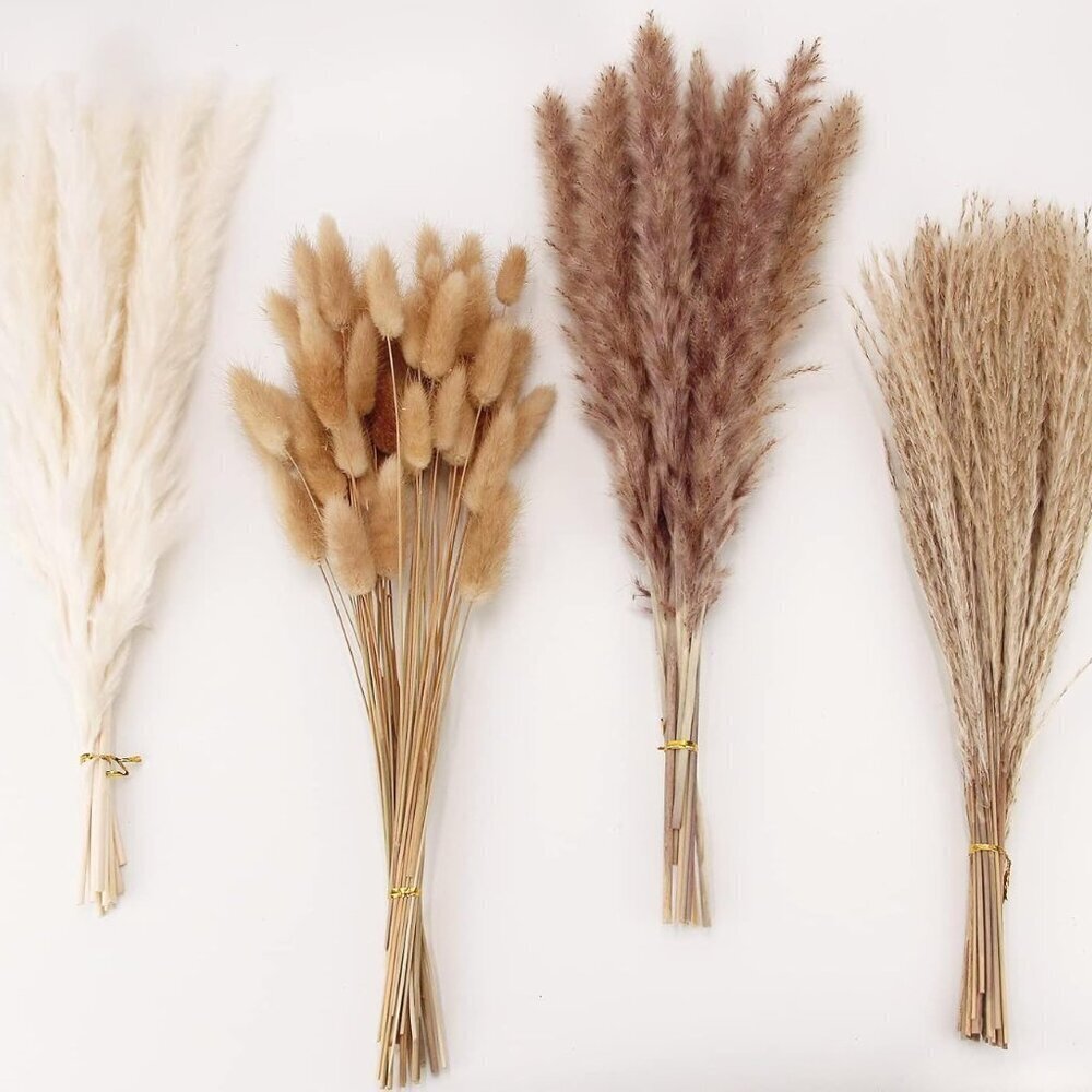 Pampas Grass 100 Stems Dried Floral Decor White Brown